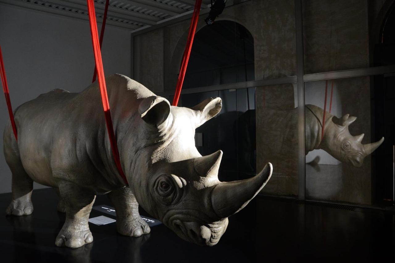 로마 Rhinoceros 아파트 호텔 외부 사진